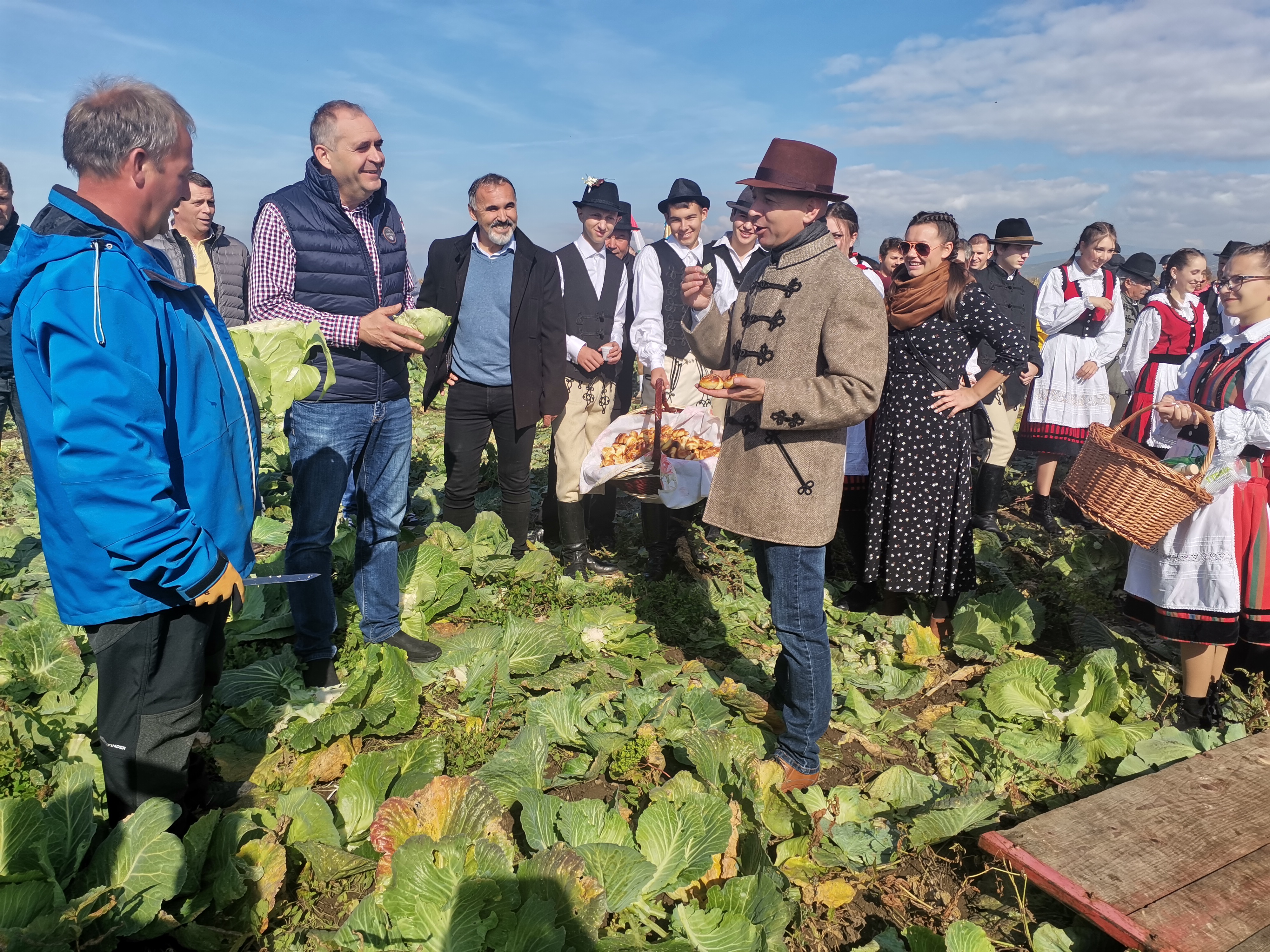 Barabás-Pál Hajnalka